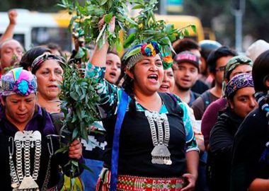 CULTURA Y LENGUA MATERNA INDÍGENA MAPUCHE NIVEL BÁSICO 1